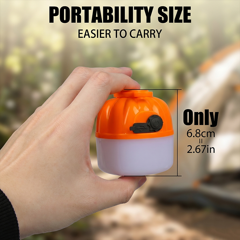 Mini Lampe LED Portable en For - Outdoor Lighting Panel avis et prix